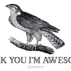 Meet your Posher, Jesse